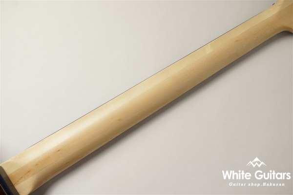 WJB5-580/R-Act - DLPB